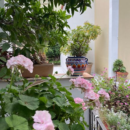 Appartamenti Villa Maria Ischia Extérieur photo